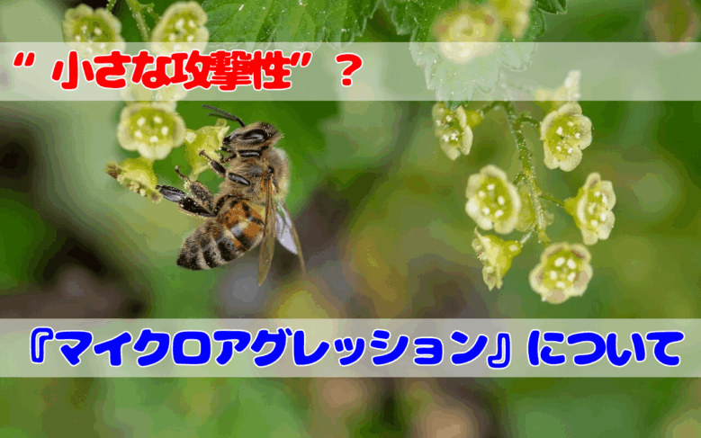 小さな攻撃性とは？